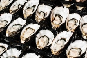 Tutustumiskierros Sydneyn kalatorille