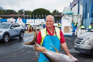 Tutustumiskierros Sydneyn kalatorille