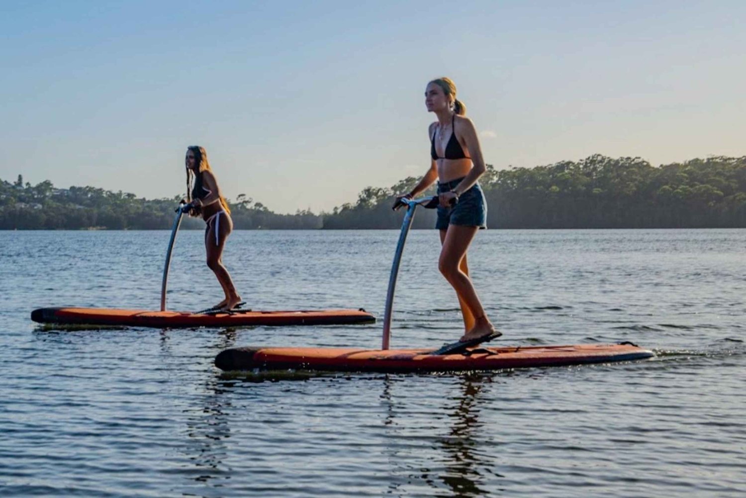 Sydney: Narrabeen Lagoon Sunrise SUP ja aamiainen