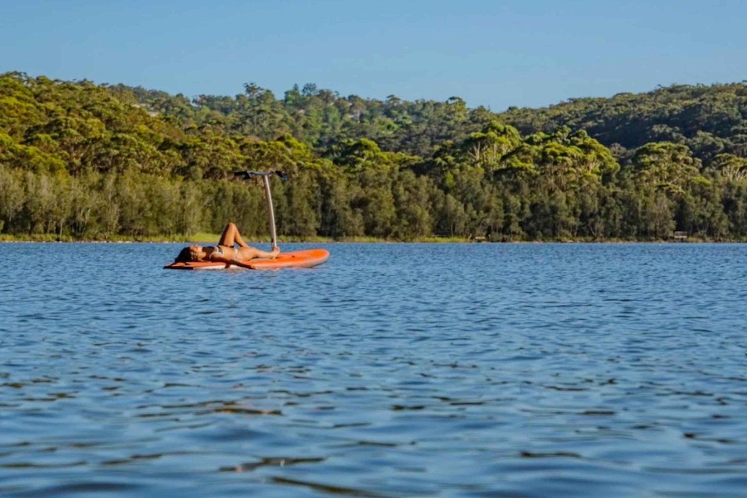 Sydney: Narrabeen Lagoon Sunrise SUP ja aamiainen