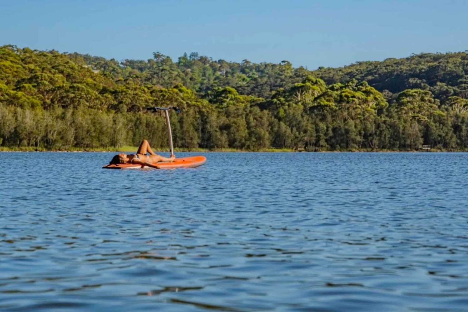 Sydney: Narrabeen Lagoon Sunrise SUP og frokost