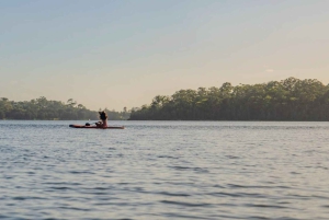 Sydney: Narrabeen Lagoon Sunrise SUP ja aamiainen