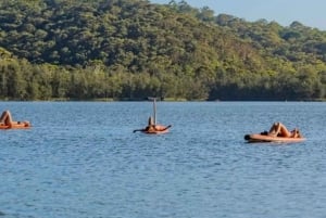 Sydney: Narrabeen Lagoon Sunrise SUP ja aamiainen