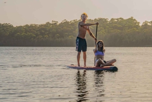 Sydney: Narrabeen Lagoon Sunrise SUP og frokost