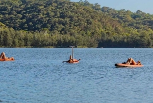 Sydney: Narrabeen Lagoon Sunrise SUP og frokost