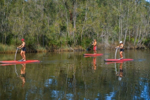 Sydney: Narrabeen Lagoon SUP Tour with Instructor