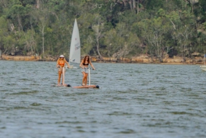 Sydney: Narrabeen Lagoon SUP Tour with Instructor