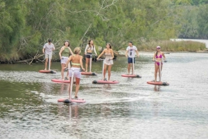 Sydney: Narrabeen Lagoon SUP Tour with Instructor