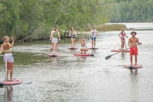 Sydney: Narrabeen Lagoon SUP Tour with Instructor