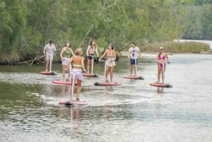 Sydney: Narrabeen Lagoon SUP Tour with Instructor