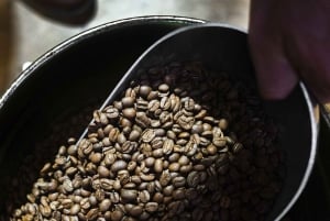Australian Food Tour: Bush Tucker & Cocktails