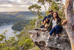 Sydney: Natureza e vida selvagem - Austrália em um dia