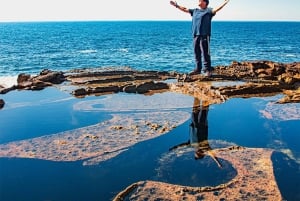 Сидней: природа и дикая природа - Австралия за один день