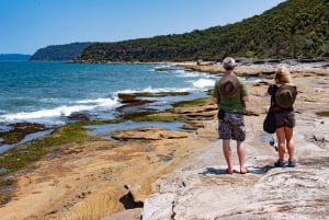 Сидней: природа и дикая природа - Австралия за один день