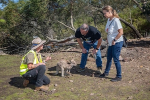 Сидней: природа и дикая природа - Австралия за один день