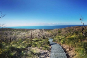 Sydney: North Head Private Hiking Tour with Transfer
