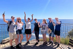 Sydney: North Head Private Hiking Tour with Transfer