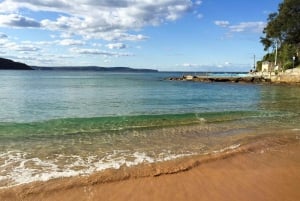 Sydney: Northern Beaches und Ku-ring-gai-Nationalpark-Tour