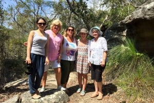 Sydney: Tur til Northern Beaches og Ku-ring-gai Nationalpark