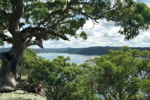 Sydney : Northern Beaches et parc national de Ku-ring-gai