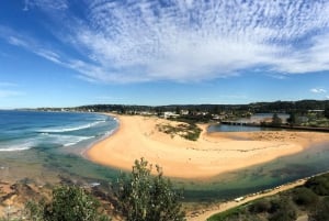 Sydney: noordelijke stranden en Ku-ring-gai National Park Tour