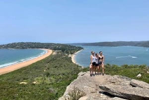 Sydney: Praias do Norte e Parque Nacional Ku-ring-rai