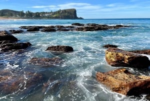 Sydney: Northern Beaches und Ku-ring-gai-Nationalpark-Tour