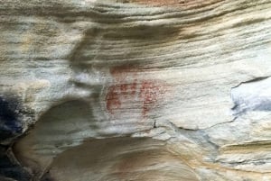 Sydney: Northern Beaches and Ku-ring-gai National Park Tour