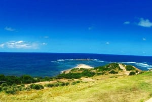 Sydney: Northern Beaches and Ku-ring-gai National Park Tour