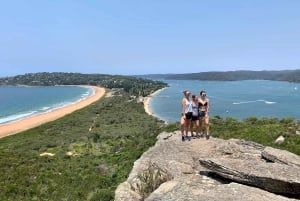 Sydney: Northern Beaches and Ku-ring-gai National Park Tour