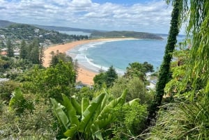 Sydney: Northern Beaches and Ku-ring-gai National Park Tour