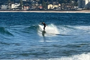 Sydney: Northern Beaches and Ku-ring-gai National Park Tour