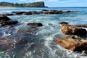Sydney: Northern Beaches and Ku-ring-gai National Park Tour