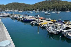 Sydney: Northern Beaches and Ku-ring-gai National Park Tour