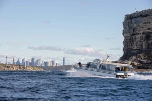 Sydney: Upplevelse med valskådning i havet