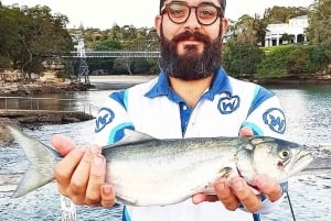 Sydney: Kalastusretki rannikolla kalastusvälineillä