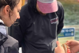 Sydney: Kalastusretki rannikolla kalastusvälineillä