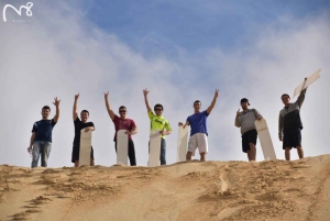 Sydney: dagtour naar Port Stephens met dolfijncruise of wandeltocht