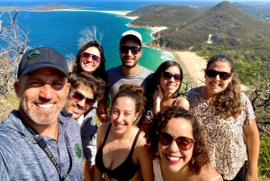 Sydney: dagtour naar Port Stephens met dolfijncruise of wandeltocht