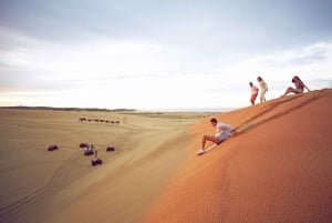 Sydney: Port Stephens Dolfijncruise en Koala's - Mandarin