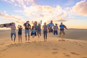 Sydney: Port Stephens Dolfijncruise en Koala's - Mandarin