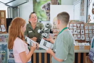 Sydney: Port Stephens Dolfijncruise en Koala's - Mandarin