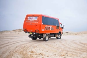 Sydney: Port Stephens Dolfijncruise en Koala's - Mandarin