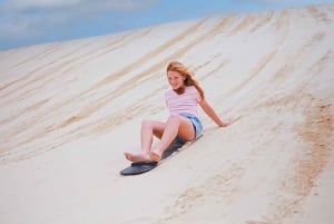 Sydney: Port Stephens Dolphin Cruise & Sandboarding Day Trip