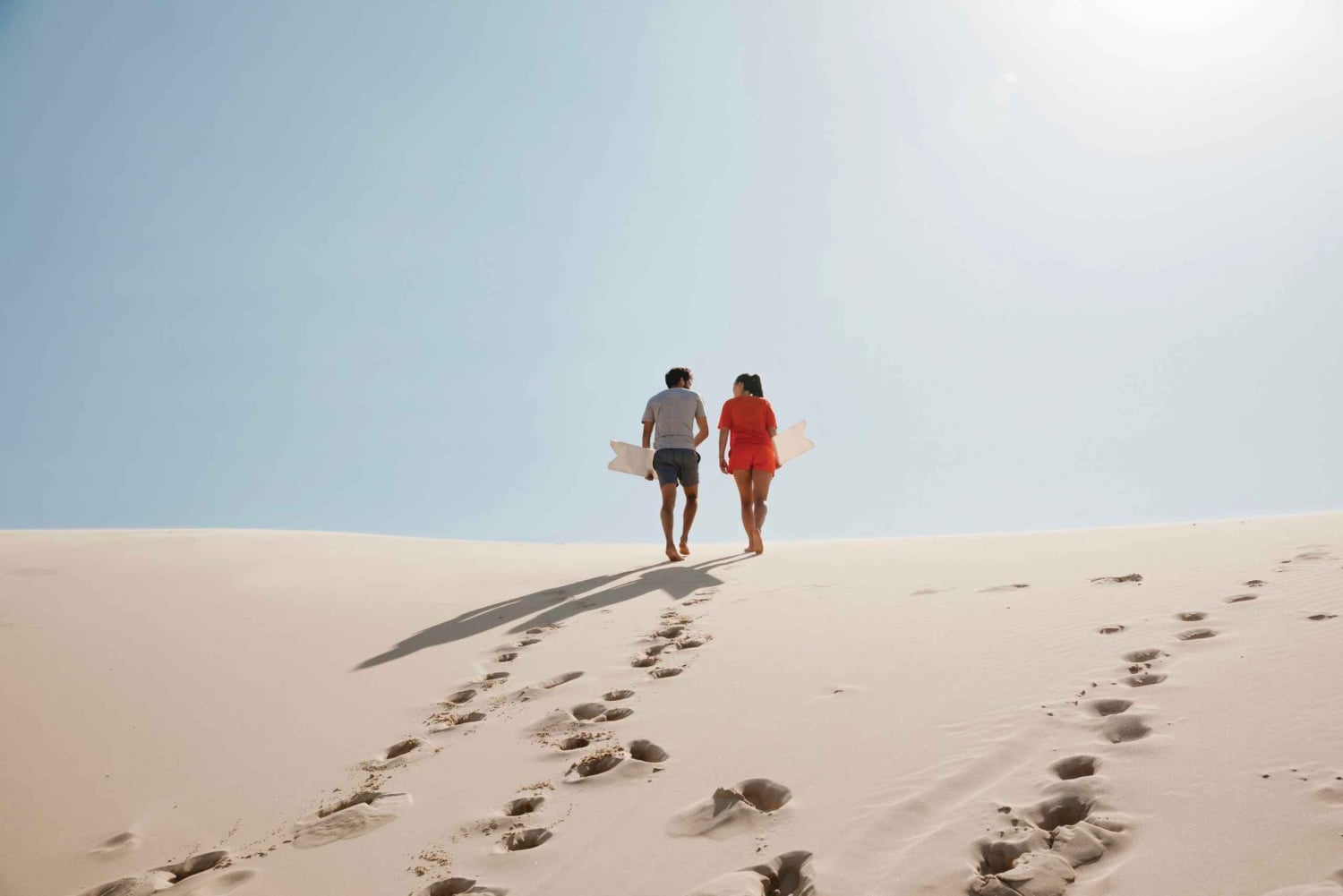 Sydney: Port Stephens Dolphin Watching & Sand Dunes Day Tour