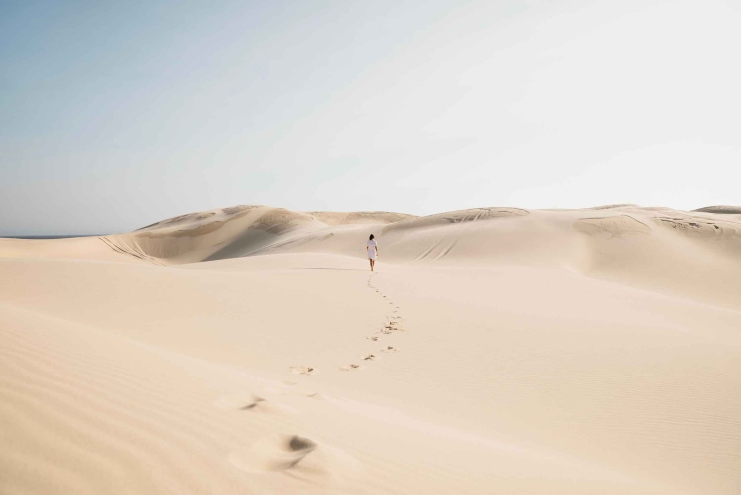 Sydney: Port Stephens Dolphin Watching & Sand Dunes Day Tour