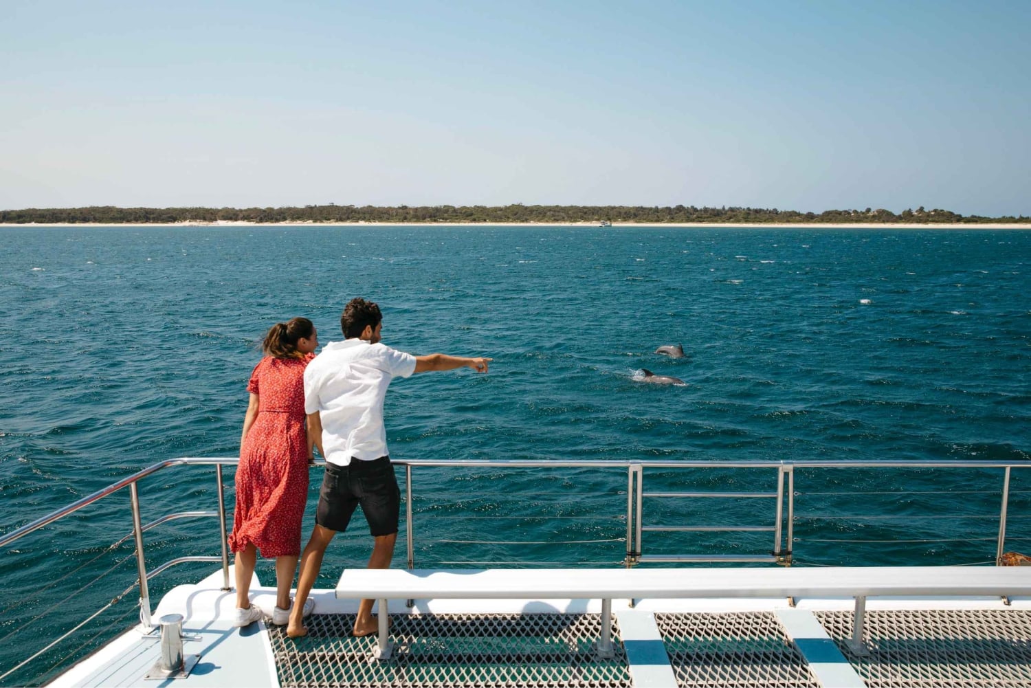 Sydney: Port Stephens Dolphin Watching & Sand Dunes Day Tour
