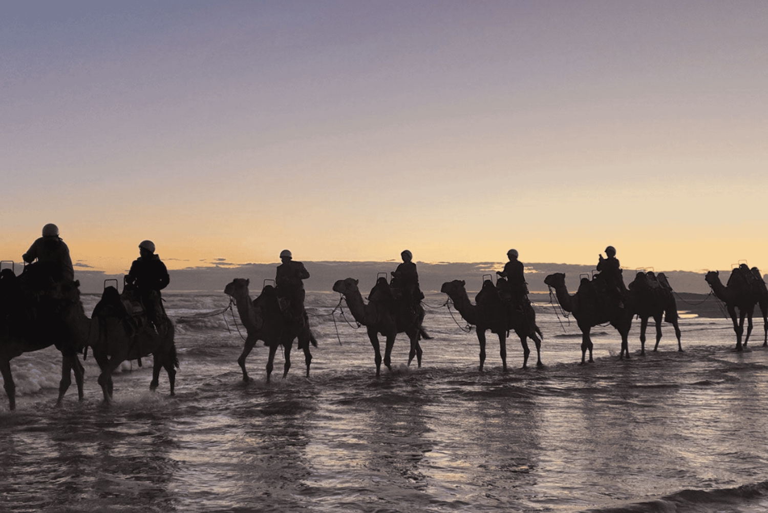 Sydney: Privat omvisning i Port Stephens