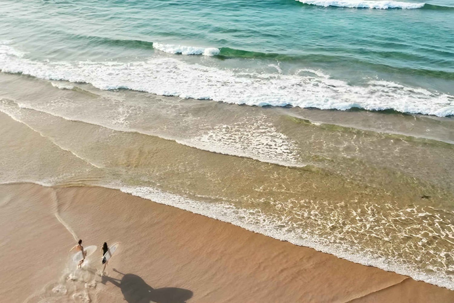 Sydney: Privat omvisning i Port Stephens