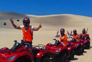 Sydney: Privat omvisning i Port Stephens